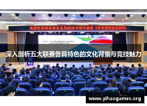 深入剖析五大联赛各具特色的文化背景与竞技魅力